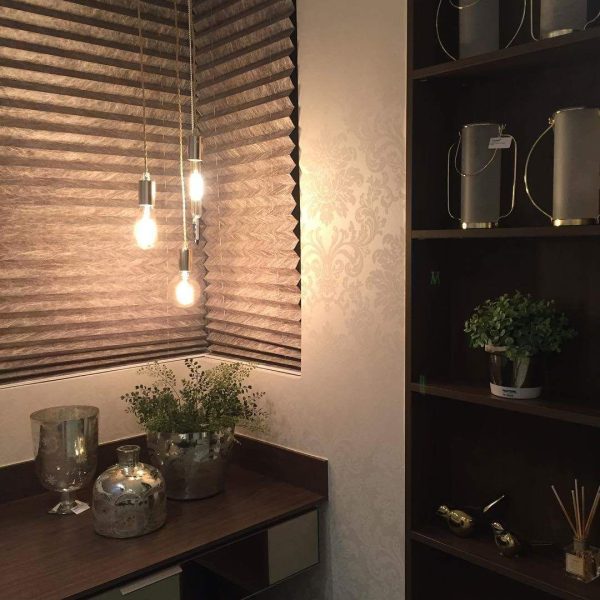 Cortina Plissada (3)